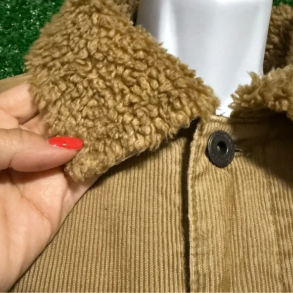 American Eagle Outfitters Tan Corduroy Jacket - Picture 10 of 10